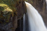 _MG_7864.jpg