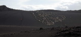 _MG_8626.jpg