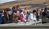 _MG_8825.jpg