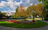 CRW_1031.jpg