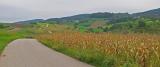 CRW_0270.jpg