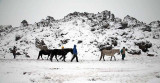 _MG_2517.jpg