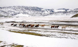 _MG_2964.jpg