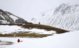 _MG_2995.jpg