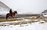 _MG_3005.jpg