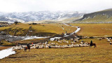 _MG_3289.jpg