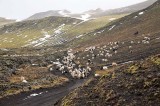 _MG_3394.jpg