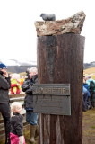 _MG_3841.jpg