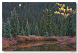 Alpine Pond