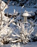 SnowyBirdFeeder 4-17-6