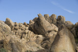 DSC_5770.jpg