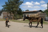 esteli_5764.jpg