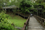 Tabin - Tabin Wildlife Reserve Broadwalk