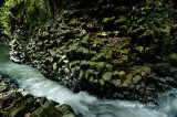 Teck Guan Waterfall