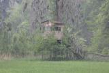 Old Pink House