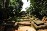 Beng Mealea, Cambodia D700_18555 copy.jpg