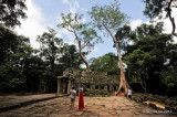 Ta Phrom Temple D700_18693 copy.jpg