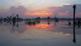 Sunrise over the wetlands