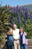 Penzance trio with large echium growing out of our heads