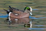 DSC_6331a.jpg