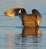 DSC_8302a.jpg