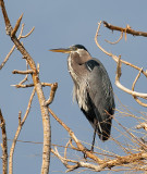 DSC_2588a.jpg