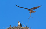 DSC_5308a.jpg
