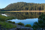 DSC_8318a.jpg