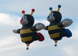 DSC_0966a.jpg