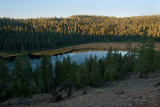 DSC_1415a.jpg