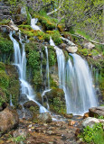DSC_5988a.jpg