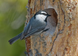 DSC_6656a.jpg