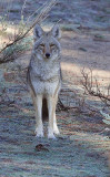 DSC_8181b.jpg