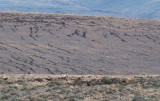 DSC_0895a.jpg