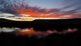 DSC_0993a.jpg