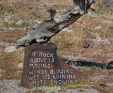 DSC_3072a.jpg