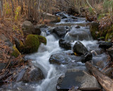 DSC_2433a.jpg