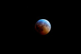 DSC_5157a.jpg