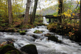 vosges 2008