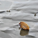 Normandie_08 026