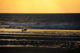 Normandie_08 101
