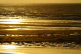 Normandie_08 109