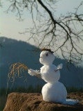bohnomme de neige