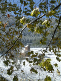 Mont ste-Odile en hiver #6