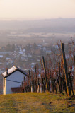 8h11