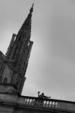 cathdrale vue du palais des rohan