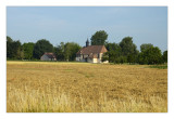 en t - in summer