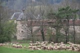 chateau de Thanville - 20