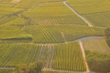 les vignes vues du chateau