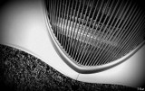 Calandre / Radiator Grill